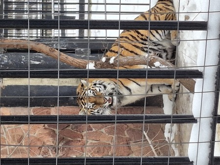 Наше воспоминание 5